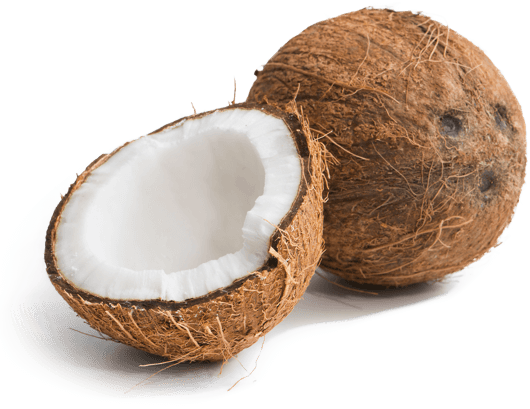 Kokosnüsse